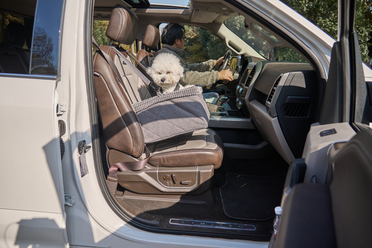 Pet Car Seat P1111 thumbnail 9